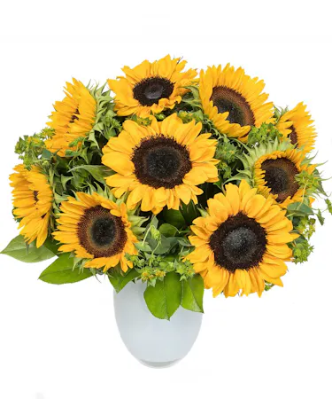 Sunflowers in White Glass Vase in Boston, MA