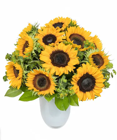 Sunflowers in White Glass Vase in Boston, MA